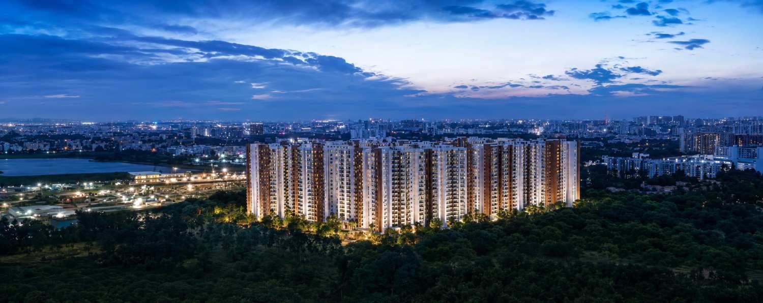 PRESTIGE EVERGREEN